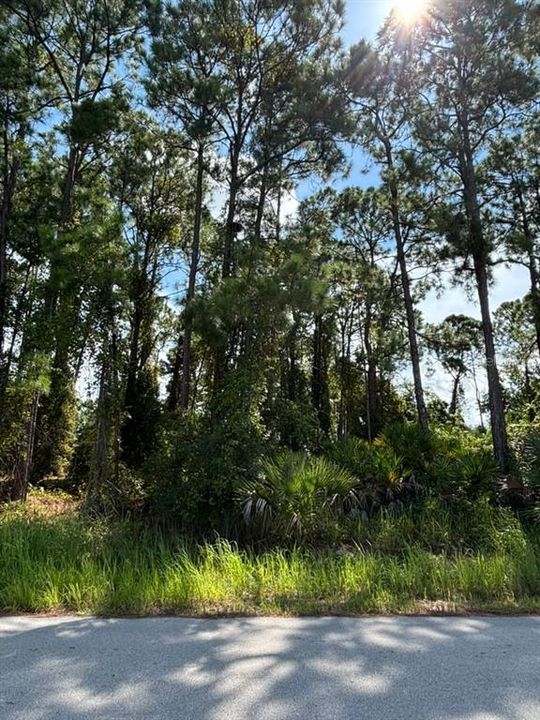 待售: $50,000 (0.23 acres)