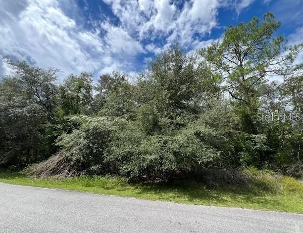 待售: $23,000 (0.23 acres)
