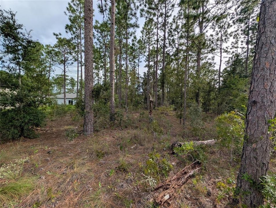 На продажу: $25,990 (0.23 acres)