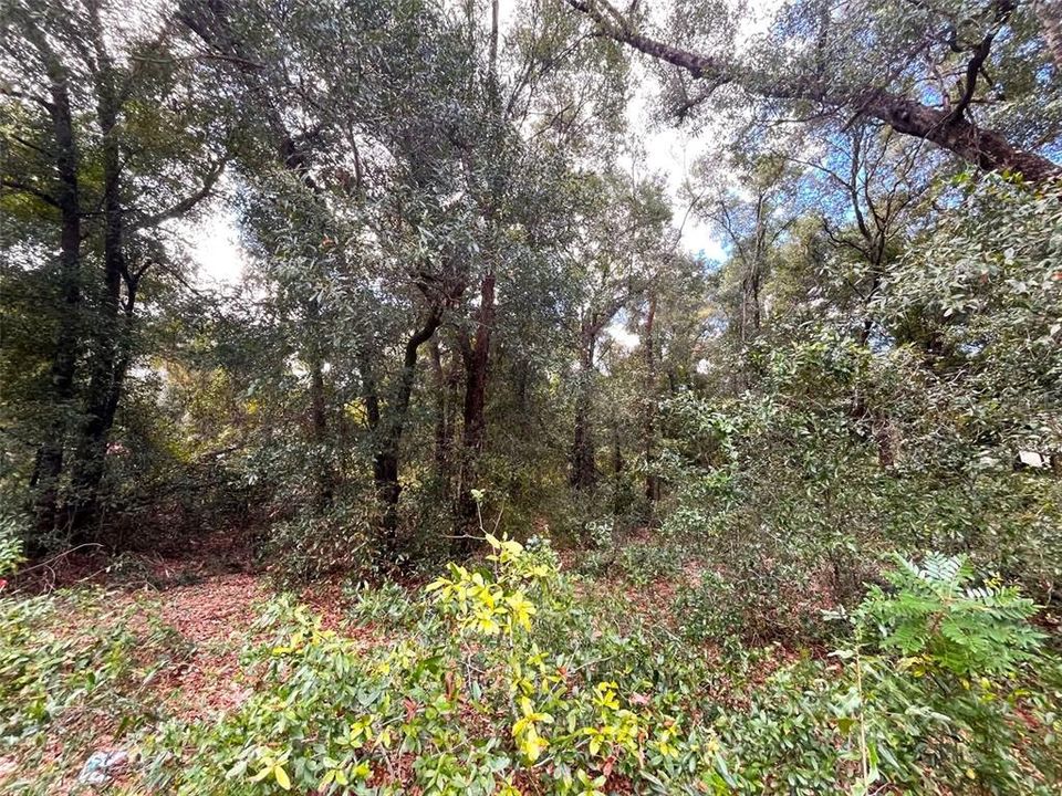 待售: $24,000 (1.01 acres)