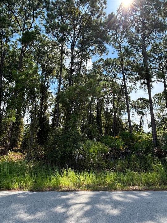 For Sale: $40,000 (0.23 acres)