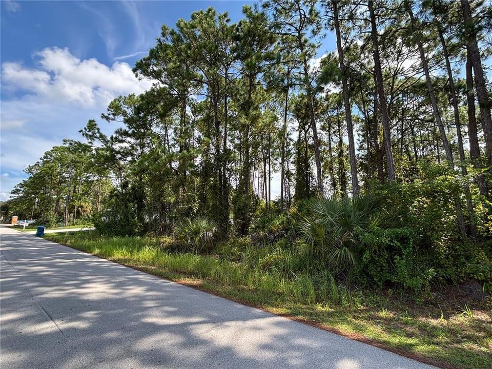 For Sale: $40,000 (0.23 acres)
