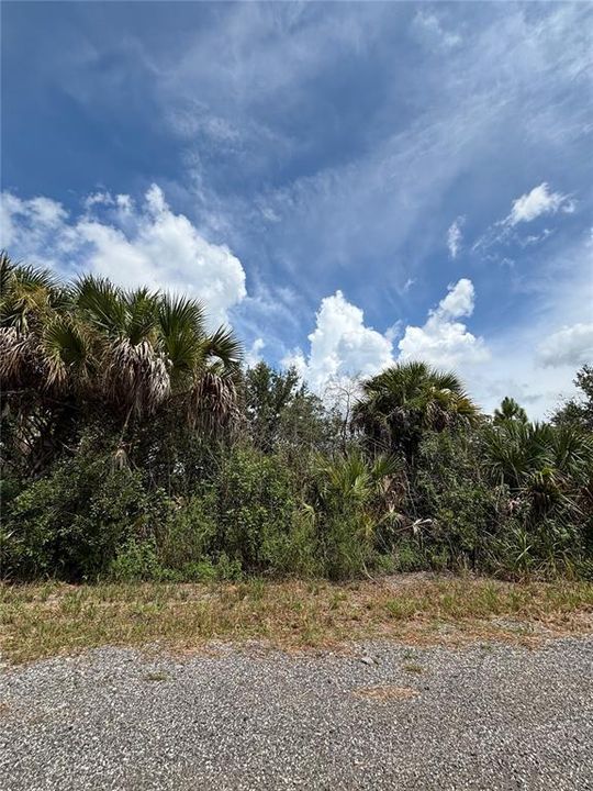 For Sale: $30,000 (0.23 acres)