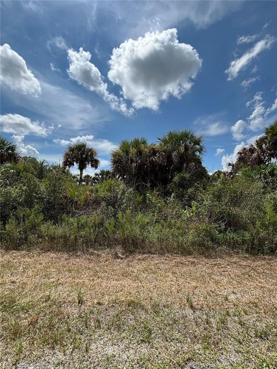 For Sale: $30,000 (0.23 acres)
