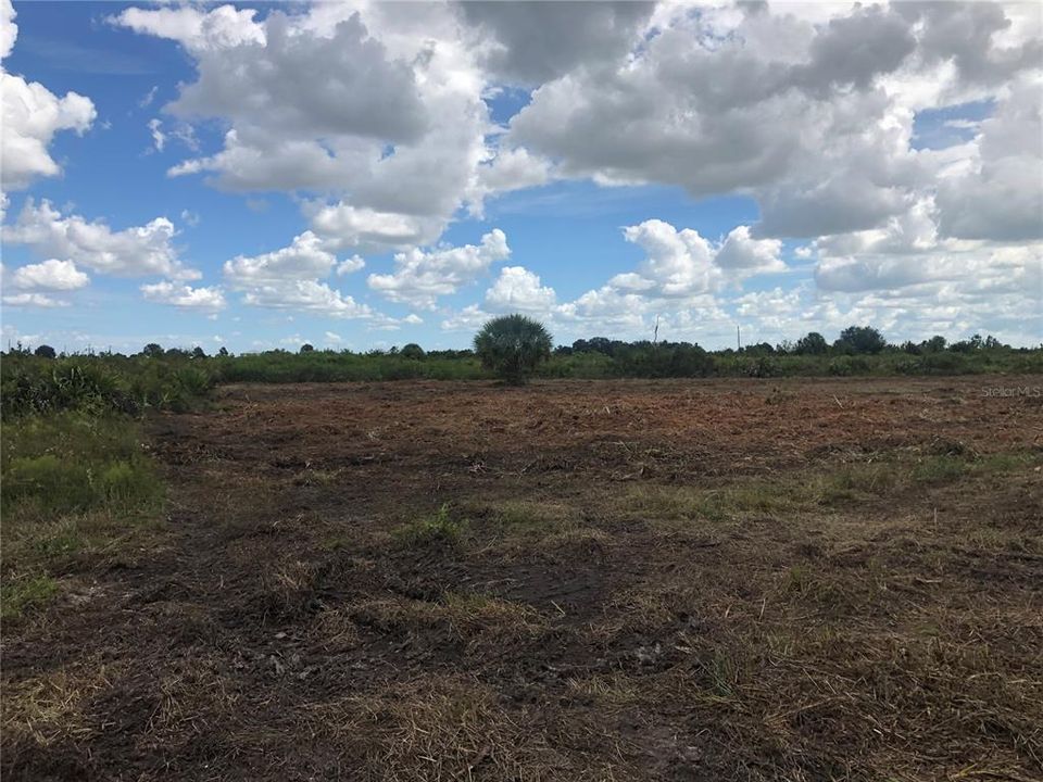 For Sale: $34,900 (1.25 acres)