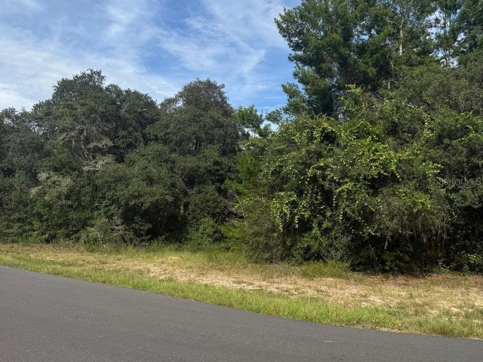 На продажу: $55,000 (0.96 acres)