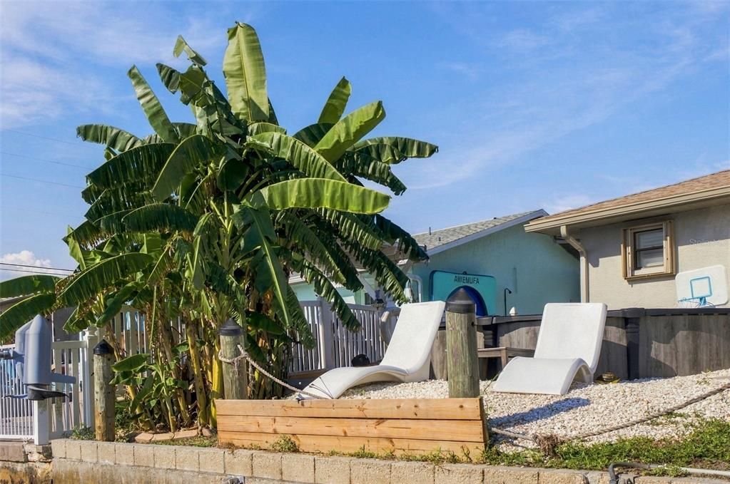 For Sale: $485,000 (5 beds, 2 baths, 1624 Square Feet)