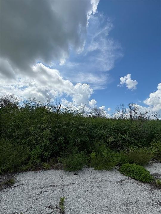 For Sale: $14,000 (0.23 acres)