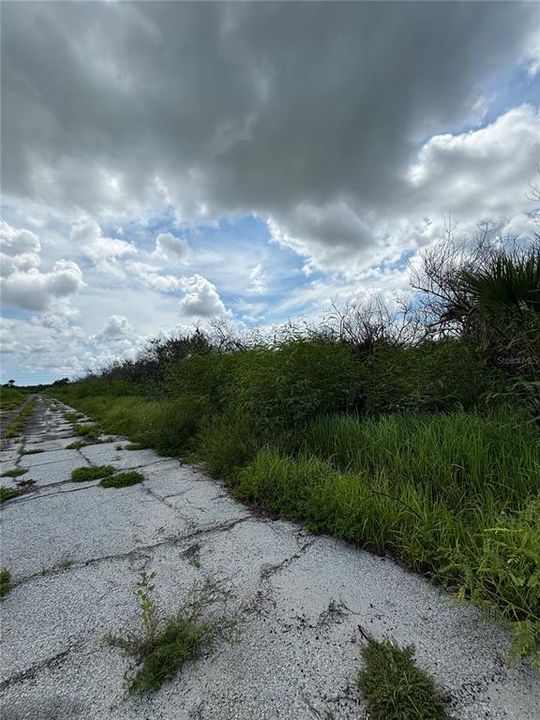 For Sale: $14,000 (0.23 acres)