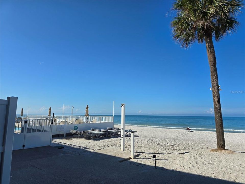 For Sale: $489,900 (1 beds, 1 baths, 528 Square Feet)