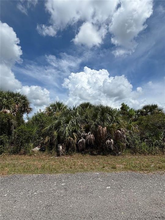 待售: $45,000 (0.23 acres)