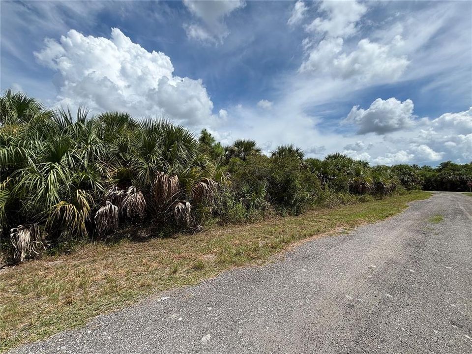 待售: $45,000 (0.23 acres)