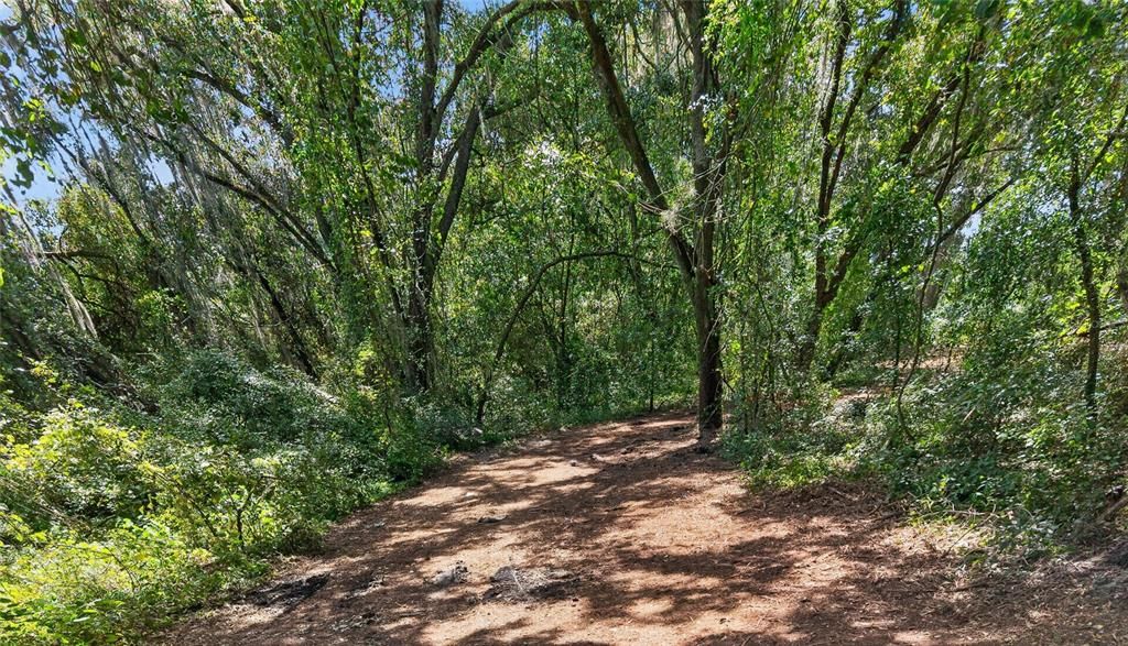 En Venta: $267,000 (4.00 acres)
