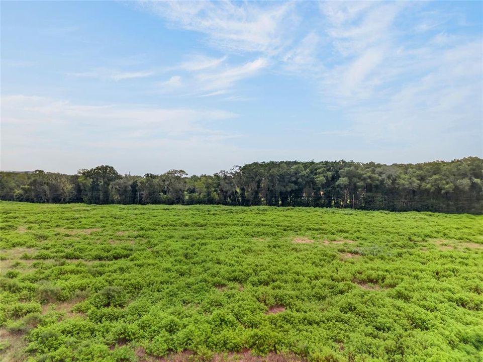 En Venta: $800,000 (23.00 acres)