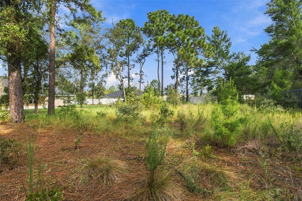 For Sale: $460,000 (4 beds, 2 baths, 2133 Square Feet)