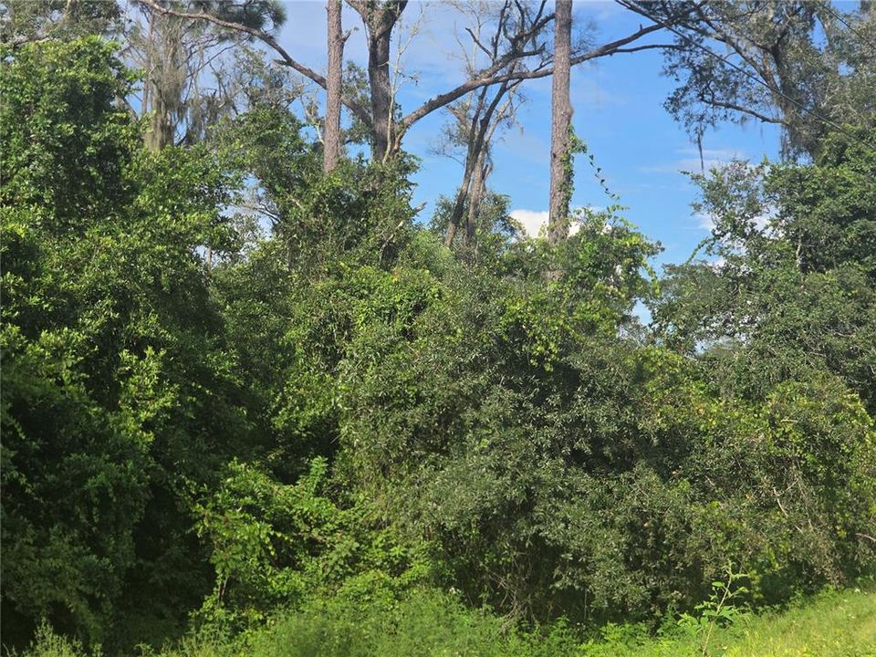 На продажу: $200,000 (0.90 acres)