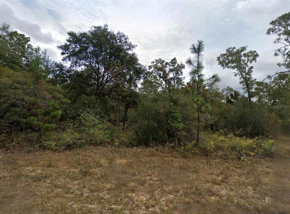 En Venta: $16,000 (0.55 acres)
