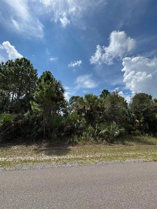 На продажу: $47,000 (0.23 acres)