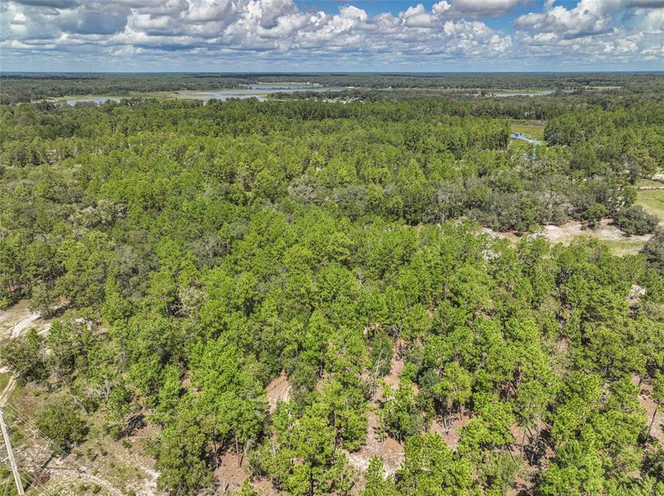 待售: $60,000 (4.20 acres)