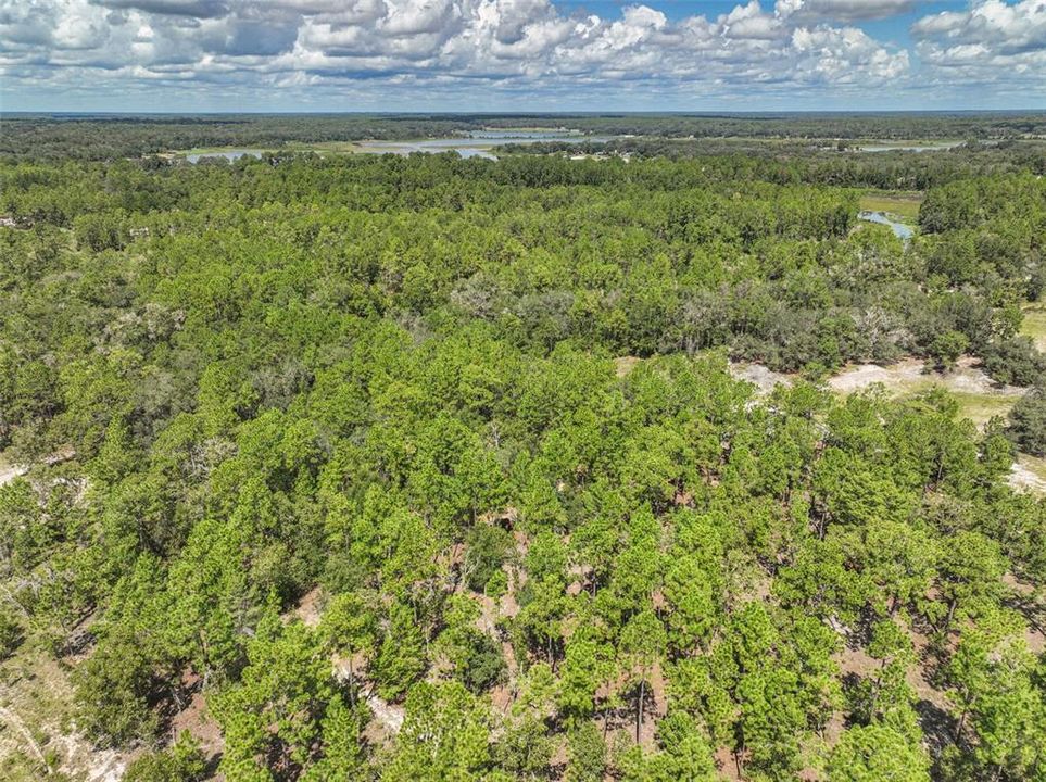 待售: $60,000 (4.20 acres)