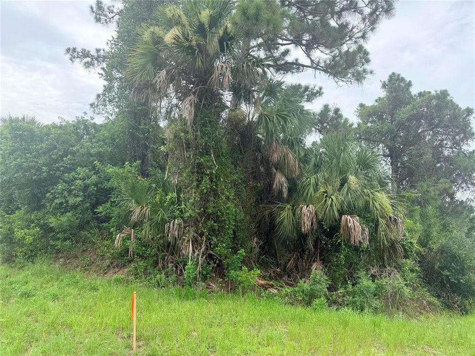 На продажу: $28,000 (0.28 acres)