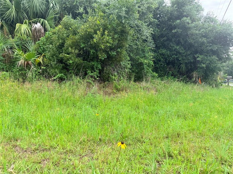 На продажу: $28,000 (0.28 acres)