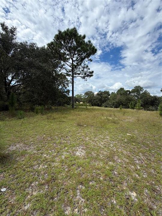 For Sale: $150,000 (3.99 acres)