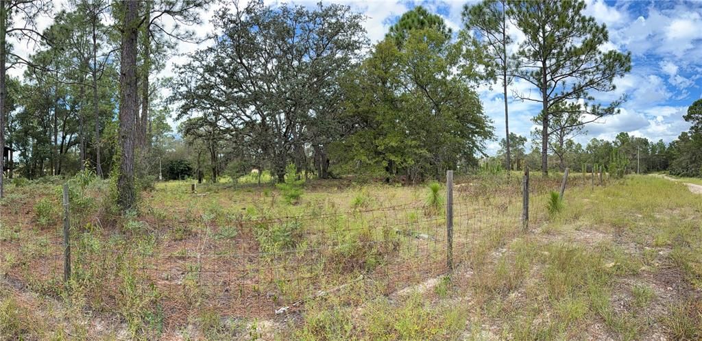 For Sale: $150,000 (3.99 acres)