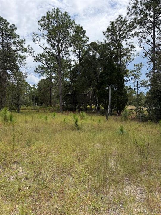 For Sale: $150,000 (3.99 acres)