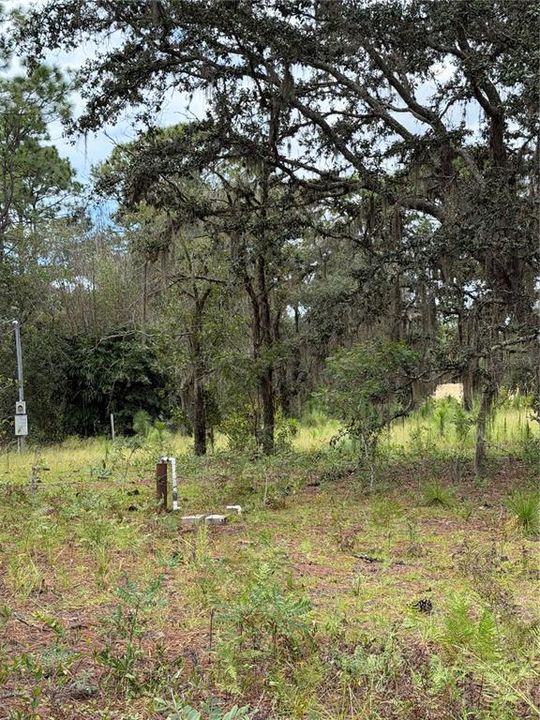 For Sale: $150,000 (3.99 acres)