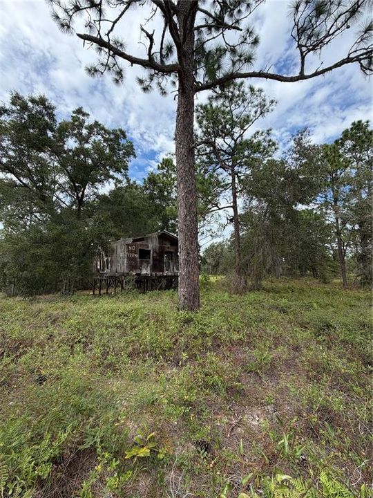 For Sale: $150,000 (3.99 acres)