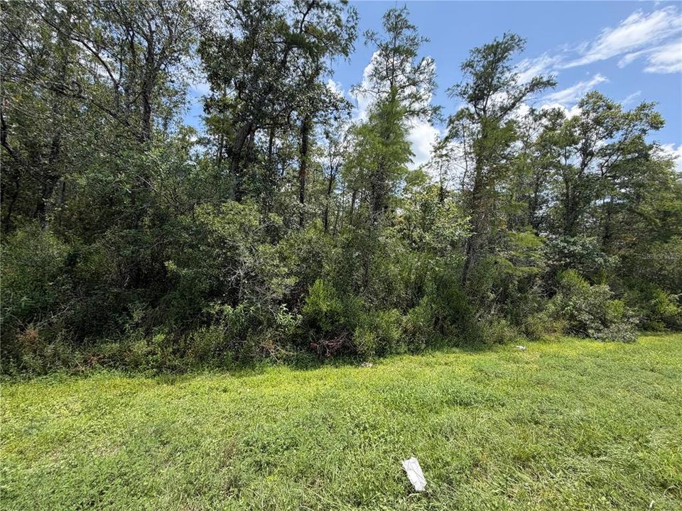 待售: $80,000 (1.19 acres)