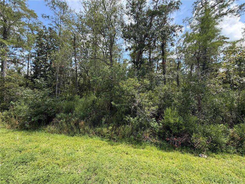 待售: $80,000 (1.19 acres)