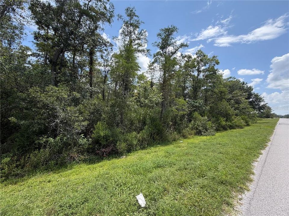 待售: $80,000 (1.19 acres)