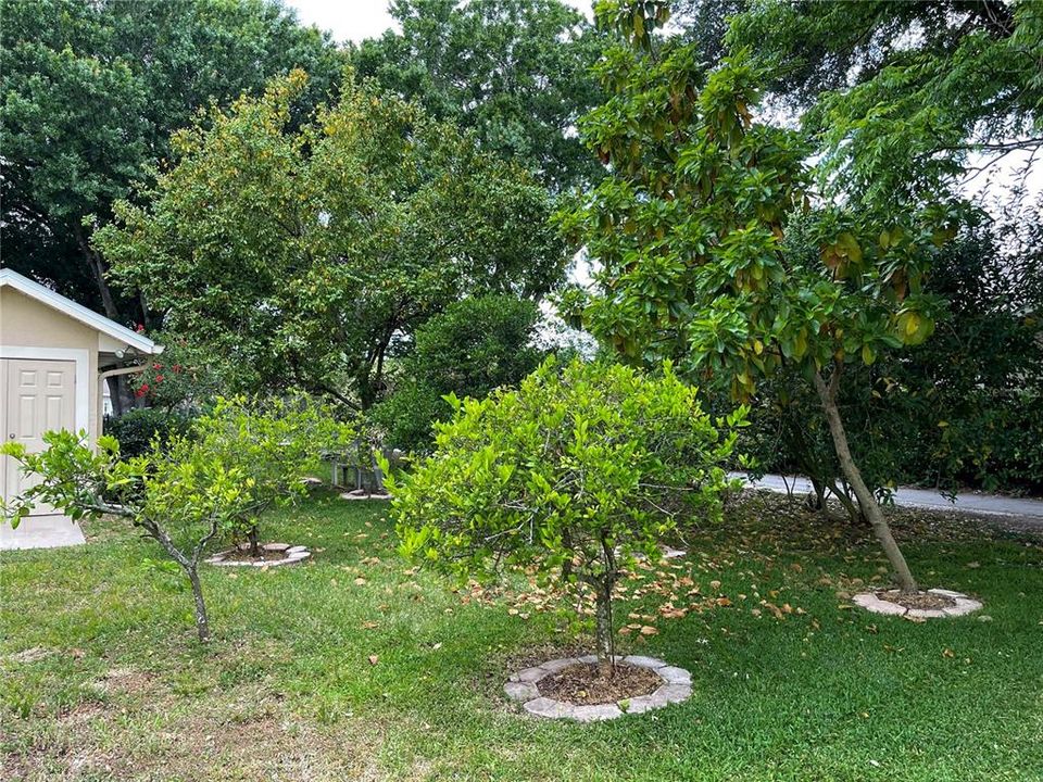 : $569,900 (3 camas, 2 baños, 2337 Pies cuadrados)