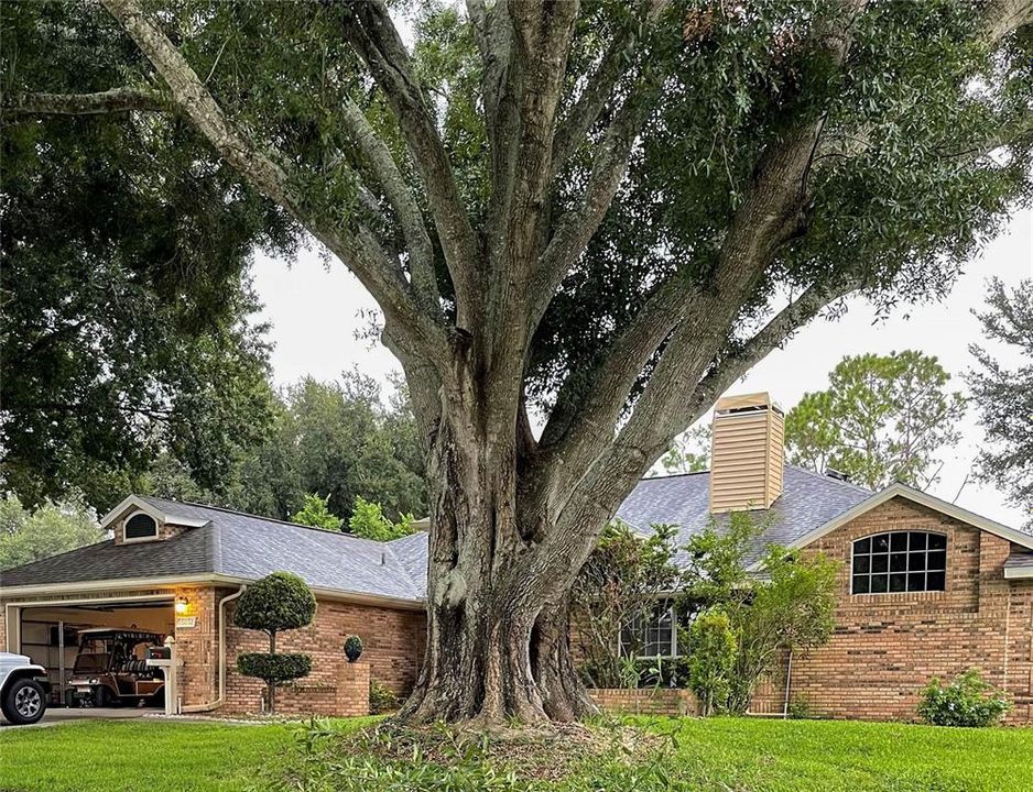 : $569,900 (3 camas, 2 baños, 2337 Pies cuadrados)