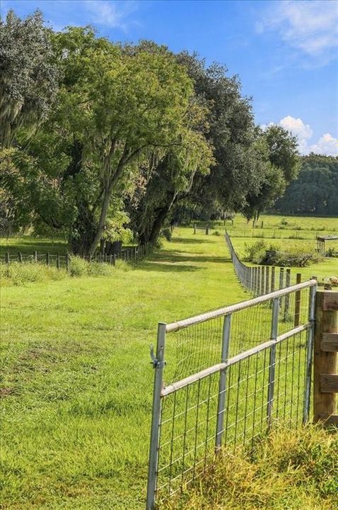 待售: $259,900 (4.96 acres)