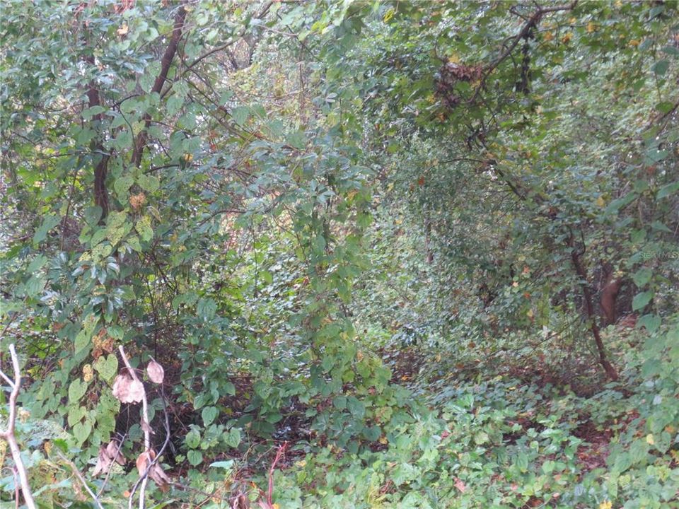 На продажу: $8,000 (0.41 acres)