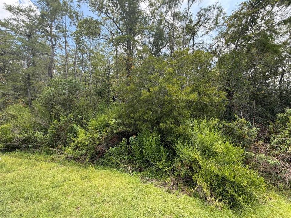 For Sale: $85,000 (1.04 acres)