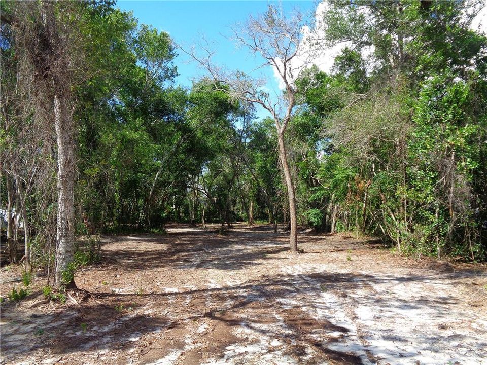 For Sale: $50,000 (0.51 acres)