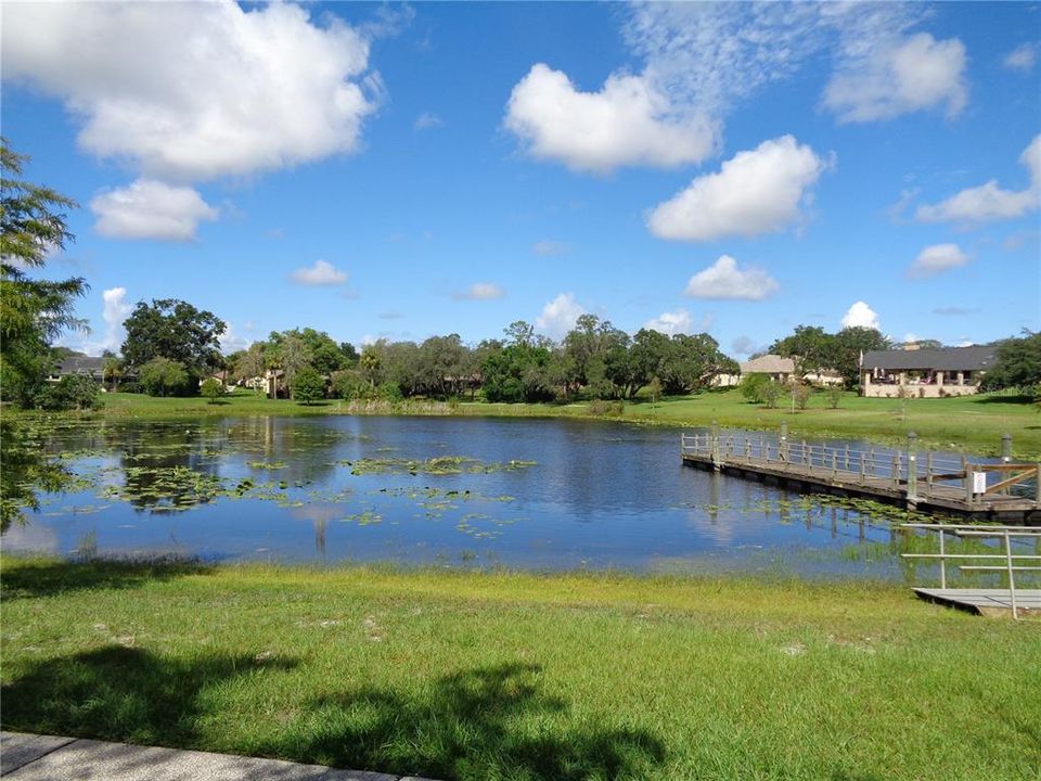 For Sale: $50,000 (0.51 acres)