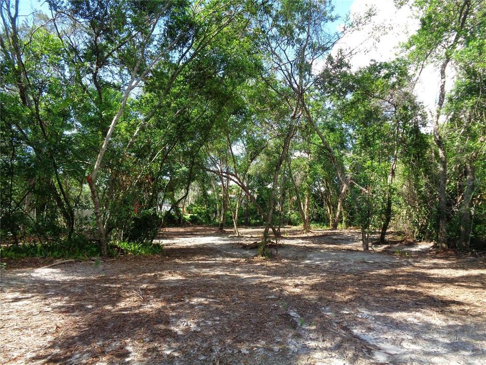 For Sale: $50,000 (0.51 acres)