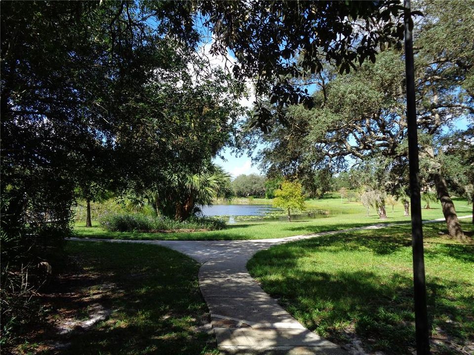 For Sale: $50,000 (0.51 acres)