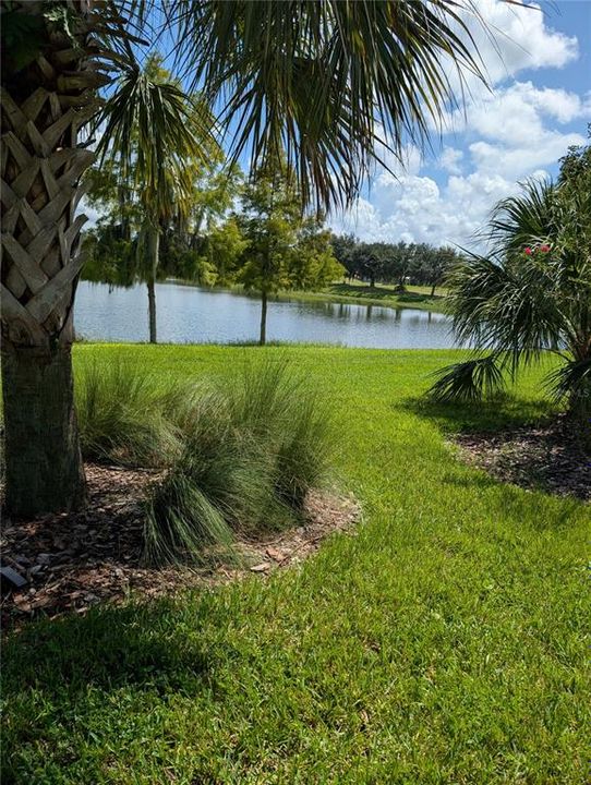 For Sale: $290,000 (2 beds, 2 baths, 1539 Square Feet)