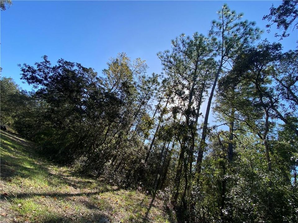 最近售出: $75,000 (2.16 acres)