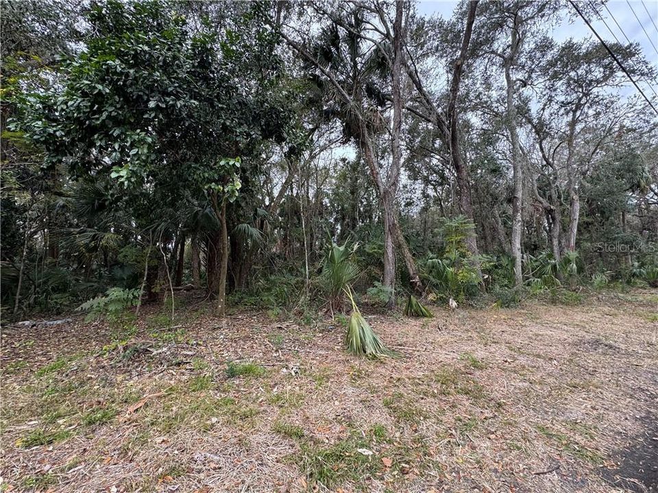 Recently Sold: $15,000 (0.25 acres)
