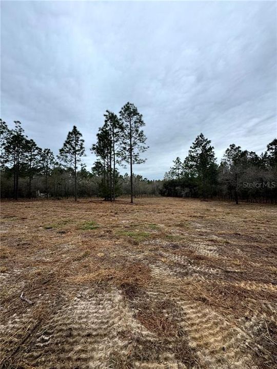 Recently Sold: $180,000 (10.00 acres)