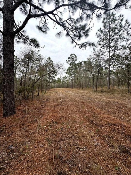 Recently Sold: $180,000 (10.00 acres)