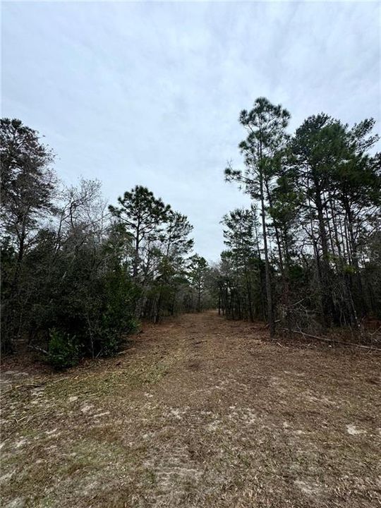 Recently Sold: $180,000 (10.00 acres)