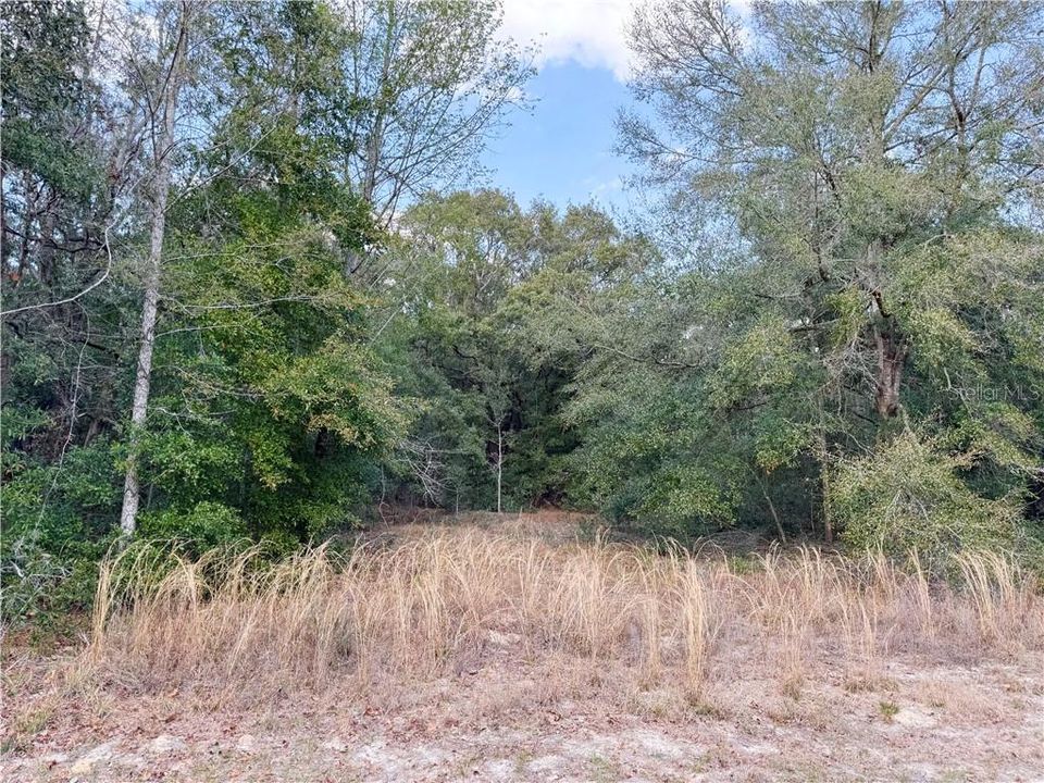 Недавно продано: $38,900 (1.02 acres)